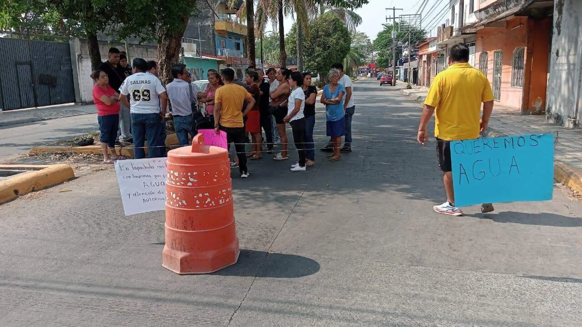 bloqueo avenida palmas